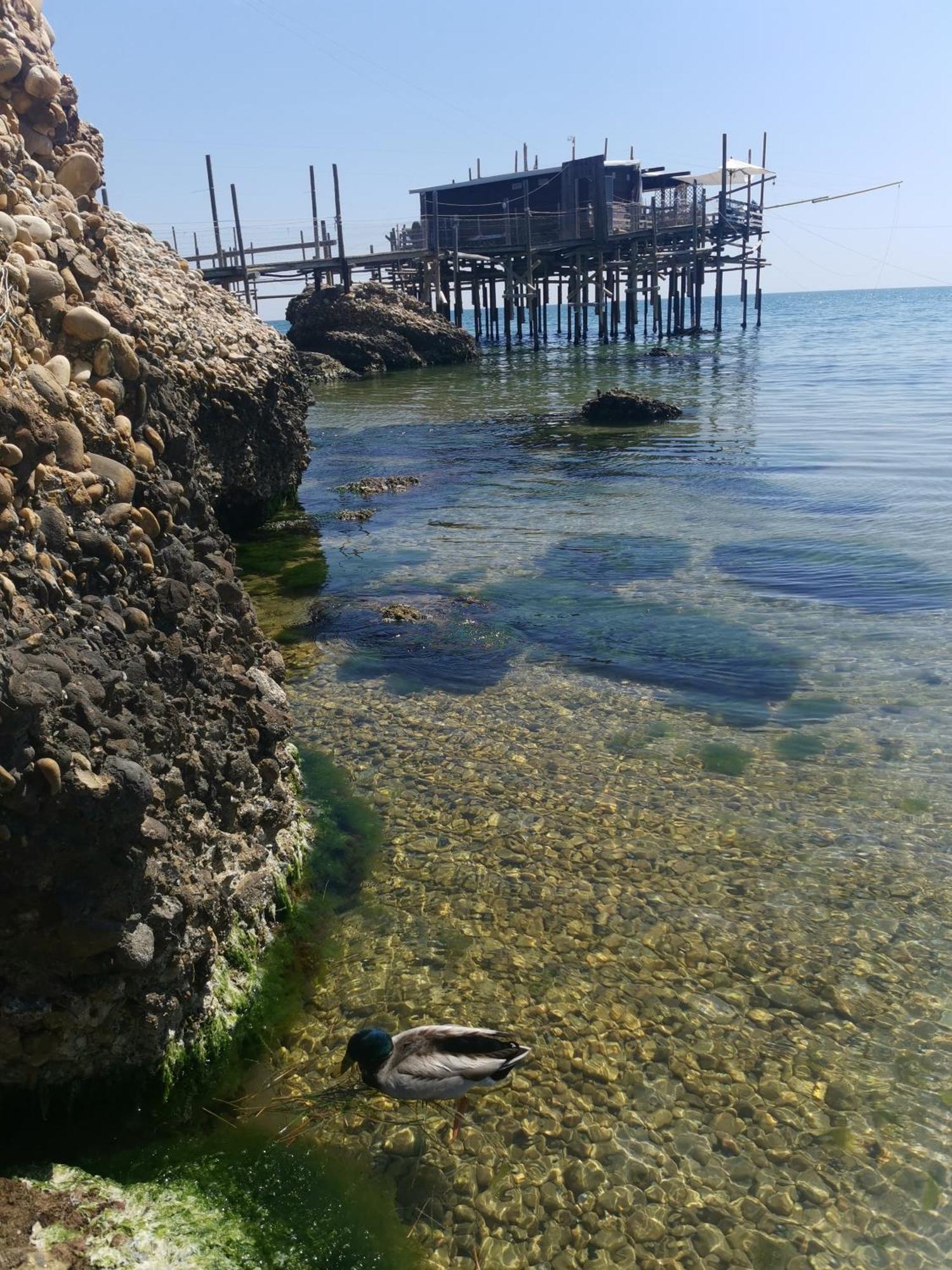 Casa La Noce Lägenhet Vasto Exteriör bild